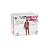 Master Pharm Revitanerv Strong 30 tbl.