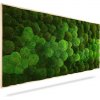 Machový obraz DUO Natural Green, 160x60cm, drevený čierny rám