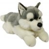 Dubi Maskot pes husky ležící velký medvídek 61 cm
