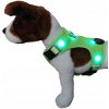 SVIETIACE POPRUHY PRE PSA BEZTLAKOVÉ POPRUHY ZELENÉ MOPS JAZVEČÍK BULDOG S