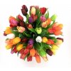 Tulipány mix farieb tm.žltá F244-Y1