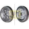 Zotrvačník Schaeffler LuK 415 0092 10