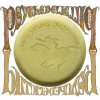Neil Young & Crazy Horse: Psychedelic Pill - 2CD