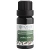 Nobilis Tilia Škorica kôra éterický olej 10 ml