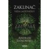 Zaklínač SK 6 Veža lastovičky [Sapkowski Andrzej]