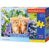 Puzzle Castorland 70 dielikov Ryšavé mačiatka