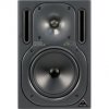 Behringer TRUTH B2031A single
