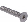 Nerezová zápustná skrutka M10 x 20 mm, DIN 7991/AISI 304