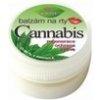 BC Bione Cosmetics Cannabis balzam na pery 25 ml