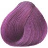 BLACK Sintesis Barva na vlasy 100ml - Intense Light Violet Blond 8-22