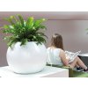 Globe Premium White 60x45cm