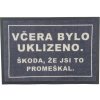 Aladin Rohožka Včera bylo uklizeno 40 × 60 cm