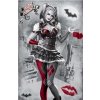 Plagát DC Comics Batman Arkham Knight: Harley Quinn (61 x 91,5 cm)