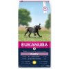 Eukanuba Puppy & Junior Large Breed 15 kg