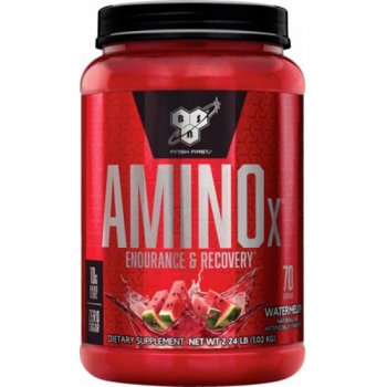 BSN Amino X 1015 g