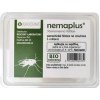 Parazitické hlístice proti smutnicím (5 milionů) - Nemaplus