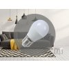 NEDES LED žiarovka 8W - G45 / E27 / SMD / 6500K - ZLS809