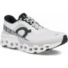 ON Cloudmonster 2 M 3ME10120664 M - white frost 45