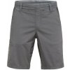 Pánske kraťasy Chillaz Neo Veľkosť: L / Farba: sivá