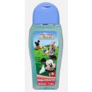 Air-Val International Disney Tiger & Pooh Shampoo & Shower Gel 250 ml