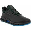 ECCO Golf Biom C4 black Dritton