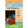 E-kniha Jak na šikanu - Pavel Říčan, Pavlína Janošová