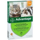 Veterinárny prípravok Advantage spot-on pre malé mačky a králiky 40 mg 1 x 0,4 ml