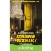 E-kniha Stříbrné přízraky - Silvia Moreno-Garcia