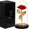 SPRINGOS Večná ruža v skle s ľad osvetlením SPRINGOS HA5157