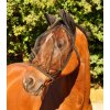 Waldhausen Maska pre koňa proti hmyzu s ochranou uší - Čierna VEĽKOSŤ: SH