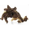Koreň Mopani 25-45 cm