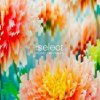 VARIOUS - GLOBAL UNDERGROUND: SELECT #5 CD