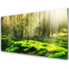 Nástenný panel Mech les príroda 100x50 cm