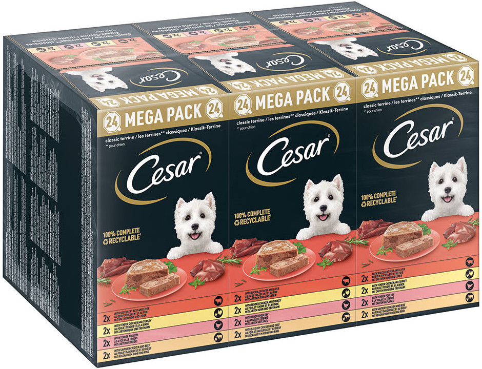 Cesar Adult Dog Klassik Terrine 48 x 150 g