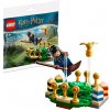LEGO® Harry Potter 30651 Quidditch Practice (polybag)
