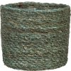 Scheurich Košík z morskej trávy 508 zelená 13cm