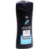 Axe Alaska Men sprchový gel 400 ml