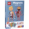 APLI Krabička s magnetmi -Ľudské telo
