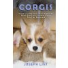 Joseph Lint - Corgis