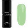 NEONAIL Blooming Dreams gélový lak na nechty s použitím UV/LED lampy odtieň Eternal Fantasies 7.2 ml