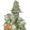 Fast Buds Konopné semienka Svadobný tvarohový koláč FF 1 ks