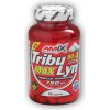 AMIX Tribulyn max 90% 90 kapsúl