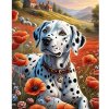 Diamantový obraz Dalmatínec