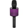 AKAI PartyVOICE MIC