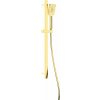 Deante Aplomo Alpinia ručná posuvná sprchová súprava, zlatá, NGA_Z52K