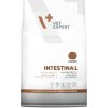 VetExpert VD puppy Intestinal 2 kg