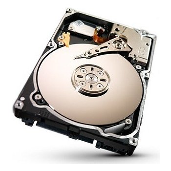 Seagate Constellation.2 1TB, ST91000640NS