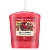 Yankee Candle Red Raspberry votívna sviečka 49 g