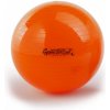 Ledragomma GymnastikBall 75 cm