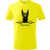 T-ričko Nemecká doga, detské tričko s vlastným textom Farba trička: Citrónová, Farba potlače: Čierna, Veľkosť: 146 cm/10 rokov